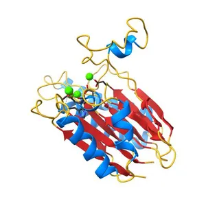 Crystal structure of tPphA Variant - H39A