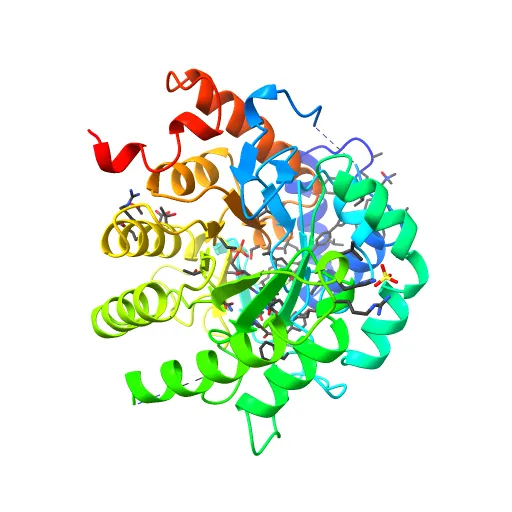 HUMAN DIHYDROOROTATE DEHYDROGENASE COMPLEXED WITH BREQUINAR ANALOG — Фото 2 из 13