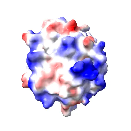 HUMAN DIHYDROOROTATE DEHYDROGENASE COMPLEXED WITH BREQUINAR ANALOG — Фото 3 из 13
