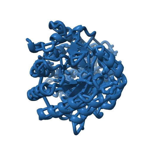 HUMAN DIHYDROOROTATE DEHYDROGENASE COMPLEXED WITH BREQUINAR ANALOG — Фото 4 из 13