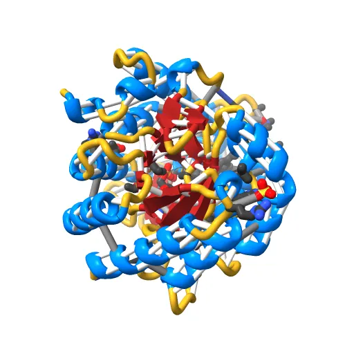 HUMAN DIHYDROOROTATE DEHYDROGENASE COMPLEXED WITH BREQUINAR ANALOG — Фото 5 из 13