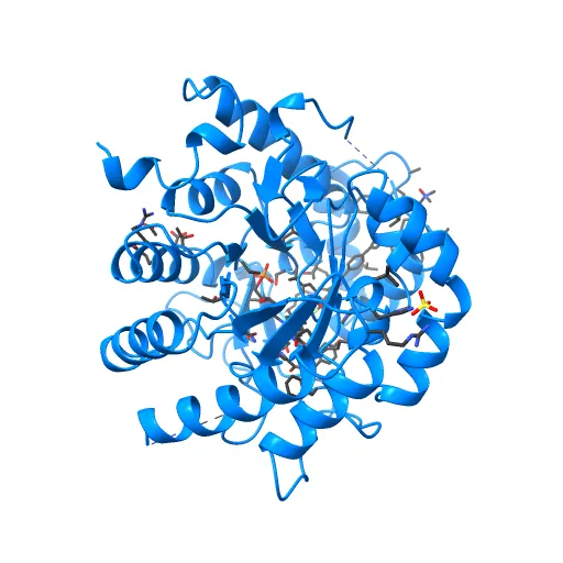 HUMAN DIHYDROOROTATE DEHYDROGENASE COMPLEXED WITH BREQUINAR ANALOG — Фото 6 из 13