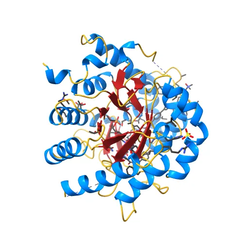 HUMAN DIHYDROOROTATE DEHYDROGENASE COMPLEXED WITH BREQUINAR ANALOG — Фото 7 из 13