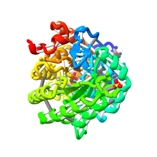 HUMAN DIHYDROOROTATE DEHYDROGENASE COMPLEXED WITH BREQUINAR ANALOG — Фото 8 из 13