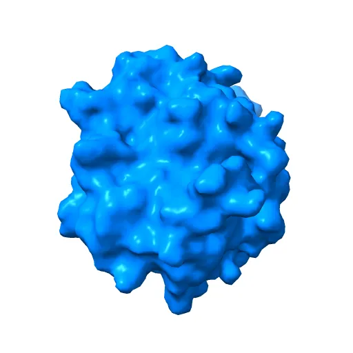HUMAN DIHYDROOROTATE DEHYDROGENASE COMPLEXED WITH BREQUINAR ANALOG — Фото 9 из 13
