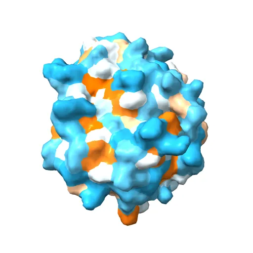 HUMAN DIHYDROOROTATE DEHYDROGENASE COMPLEXED WITH BREQUINAR ANALOG — Фото 10 из 13