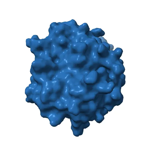 HUMAN DIHYDROOROTATE DEHYDROGENASE COMPLEXED WITH BREQUINAR ANALOG — Фото 11 из 13