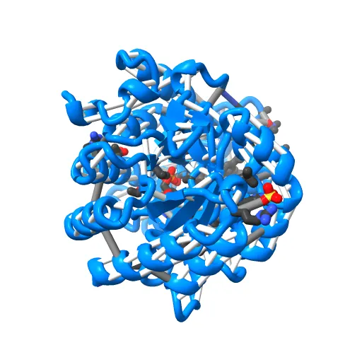 HUMAN DIHYDROOROTATE DEHYDROGENASE COMPLEXED WITH BREQUINAR ANALOG — Фото 12 из 13