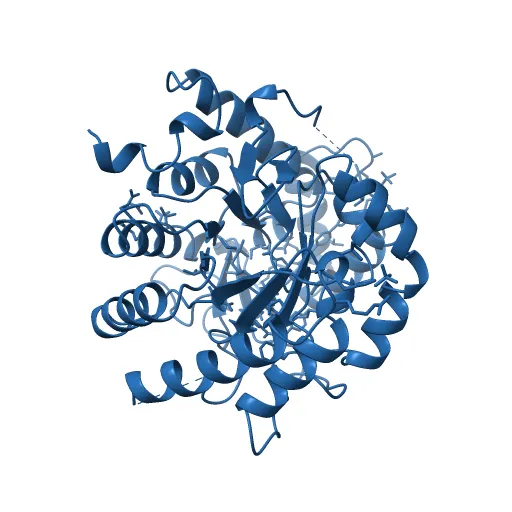 HUMAN DIHYDROOROTATE DEHYDROGENASE COMPLEXED WITH BREQUINAR ANALOG — Фото 13 из 13