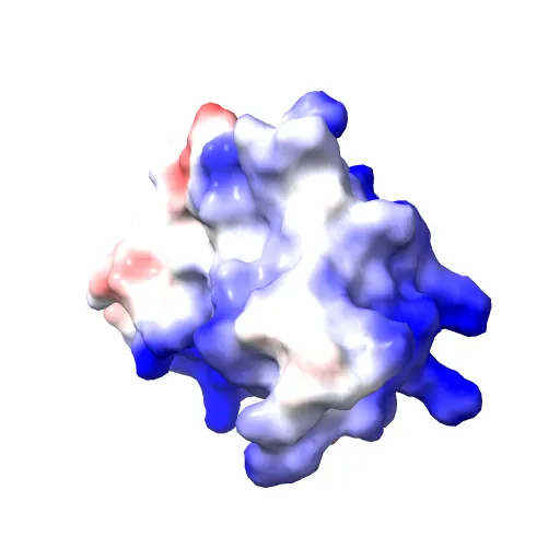 Structure of the Ebola VP35 Interferon Inhibitory Domain — Фото 3 из 13