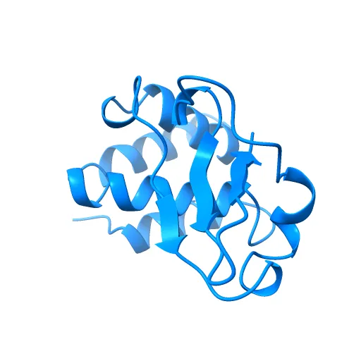 Structure of the Ebola VP35 Interferon Inhibitory Domain — Фото 5 из 13