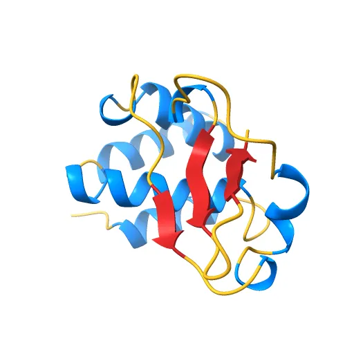 Structure of the Ebola VP35 Interferon Inhibitory Domain — Фото 6 из 13
