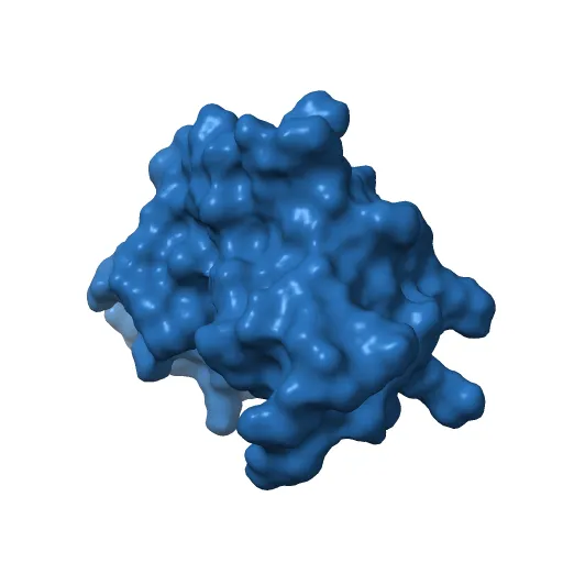 Structure of the Ebola VP35 Interferon Inhibitory Domain — Фото 8 из 13