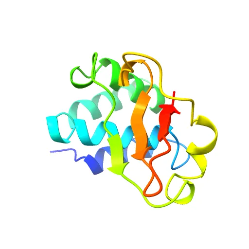 Structure of the Ebola VP35 Interferon Inhibitory Domain — Фото 10 из 13