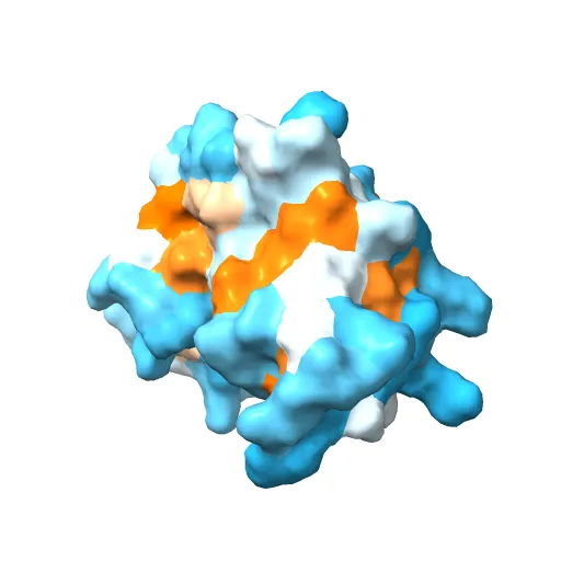 Structure of the Ebola VP35 Interferon Inhibitory Domain — Фото 11 из 13