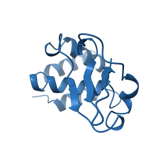 Structure of the Ebola VP35 Interferon Inhibitory Domain — Фото 12 из 13