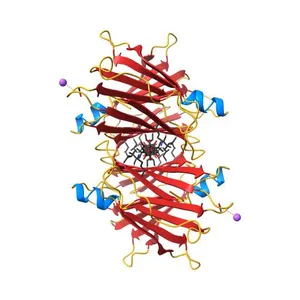 Crystal Structure of Human Transthyretin in Complex with Tetrabromobisphenol A (TBBPA)
