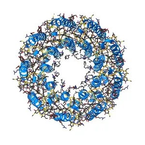 Structure of LH2 from Rps. acidophila crystallized in lipidic mesophases