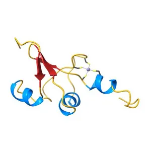 Solution structure of the C-terminal zinc-binding domain of HPV51 oncoprotein E6