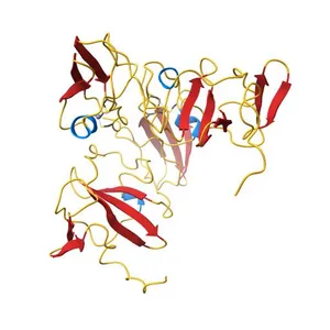 Structure of the zinc-binding domain of HCV NS5A