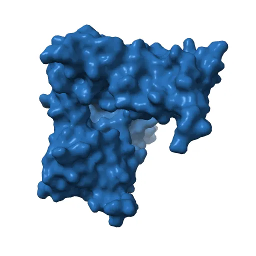 Structure of the zinc-binding domain of HCV NS5A — Фото 3 из 13