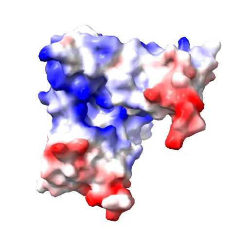 Structure of the zinc-binding domain of HCV NS5A — Фото 4 из 13