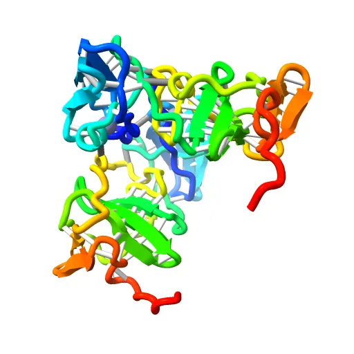 Structure of the zinc-binding domain of HCV NS5A — Фото 5 из 13