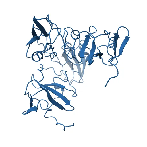 Structure of the zinc-binding domain of HCV NS5A — Фото 6 из 13