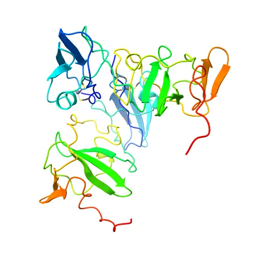 Structure of the zinc-binding domain of HCV NS5A — Фото 7 из 13