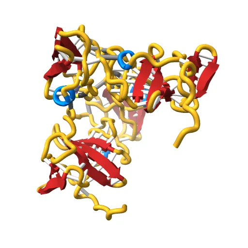 Structure of the zinc-binding domain of HCV NS5A — Фото 8 из 13