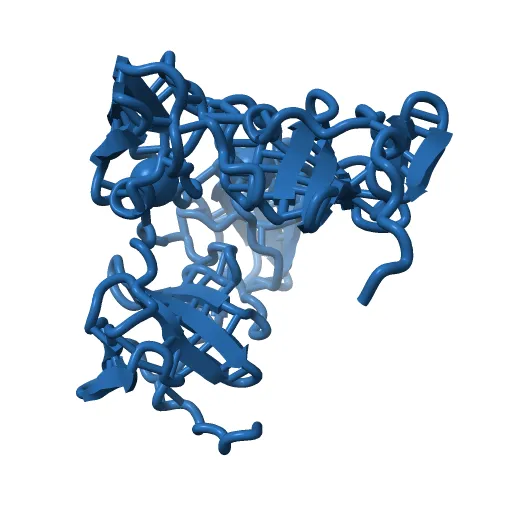 Structure of the zinc-binding domain of HCV NS5A — Фото 9 из 13