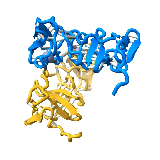 Structure of the zinc-binding domain of HCV NS5A — Фото 10 из 13