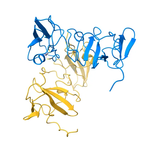 Structure of the zinc-binding domain of HCV NS5A — Фото 11 из 13