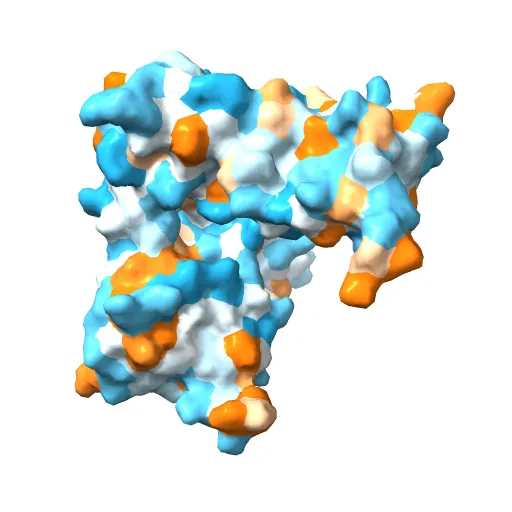 Structure of the zinc-binding domain of HCV NS5A — Фото 12 из 13