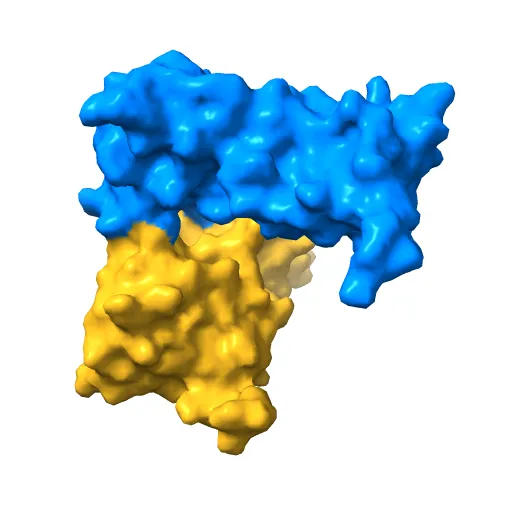 Structure of the zinc-binding domain of HCV NS5A — Фото 13 из 13