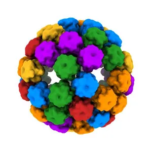 Electron cryo-microscopy of human papillomavirus 16 and H16.V5 Fab fragments