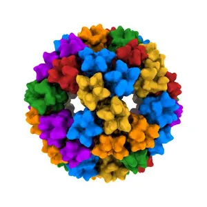 Cryo-EM reconstruction of quasi-HPV16 complex with H16.1A Fab