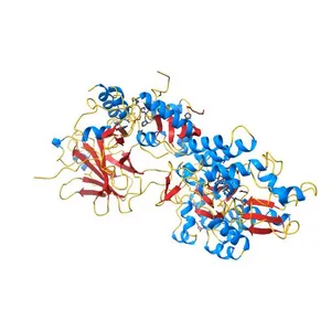 Crystal structure of the HPV16 E6/E6AP/p53 ternary complex at 2.25 A resolution