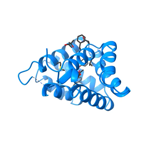Crystal structure of Fel d 1- the major cat allergen — Image 2 of 13