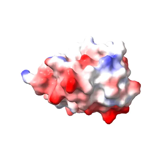Crystal structure of Fel d 1- the major cat allergen — Image 3 of 13