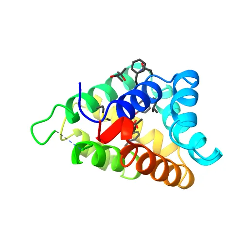 Crystal structure of Fel d 1- the major cat allergen — Image 4 of 13