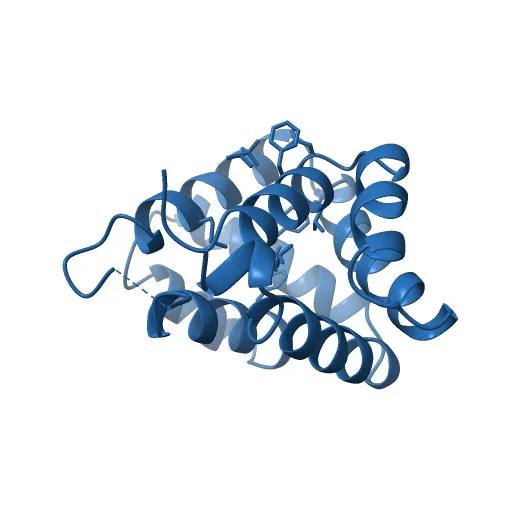 Crystal structure of Fel d 1- the major cat allergen — Image 9 of 13