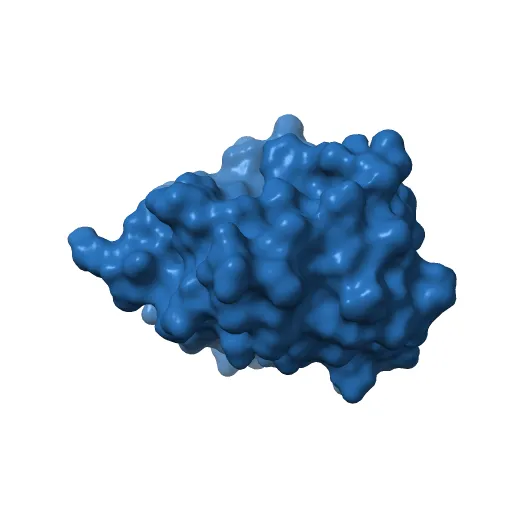 Crystal structure of Fel d 1- the major cat allergen — Image 10 of 13