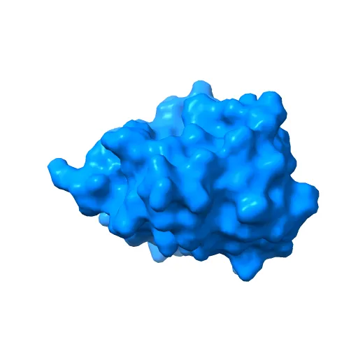 Crystal structure of Fel d 1- the major cat allergen — Image 11 of 13