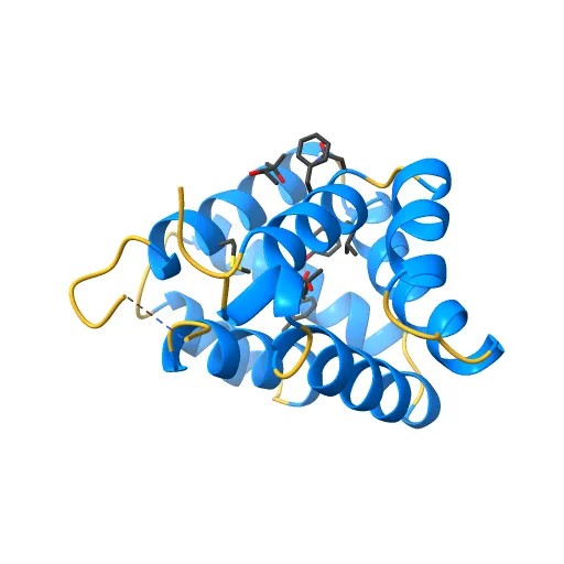 Crystal structure of Fel d 1- the major cat allergen — Image 12 of 13