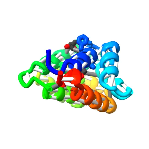 Crystal structure of Fel d 1- the major cat allergen — Image 13 of 13