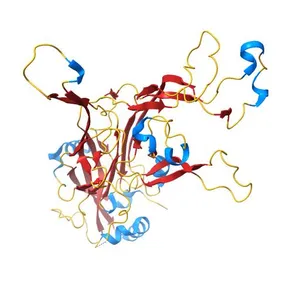 Cryo-EM reconstruction of quasi-HPV16 complex with H16.14J Fab
