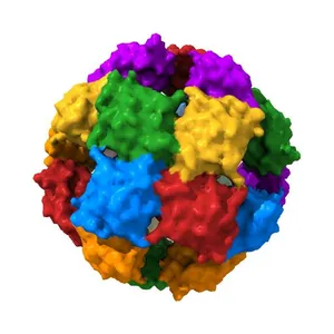 Crystal Structure of human MKP-2
