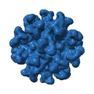Feline panleukopenia virus in complex with FAb from neutralizing antibody MAb E