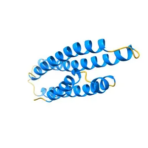 Apolipoprotein E3 22kD fragment LYS146GLU mutant